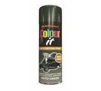 RAPIDE PF COLOUR IT Spray Paint Matt NATO Green 250ml - Quick Drying Matt Finish for Metal, Plastic, and Wood - Interior & Exterior Use
