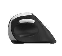 Rapoo EV250 mouse Office Right-hand RF Wireless Optical 1600 DPI