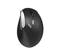 Rapoo EV250 souris Droitier RF sans fil Optique 1600 DPI