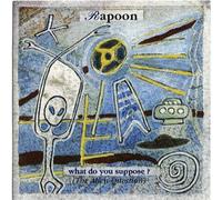 Rapoon - What Do You Suppose