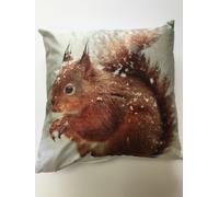 Rapport Home Photographic Red Squirrel Snow Christmas Cushion Cover Scatter Square
