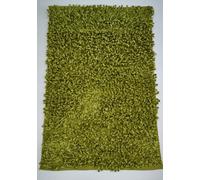 Rapport Home Oxford Shaggy Rug (55x85) in Green Rapport Home Green