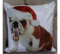 Rapport Home Photographic Bulldog Christmas Santa Hat Cushion Cover Scatter Square