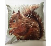 Rapport Home Photographic Red Squirrel Snow Christmas Cushion Cover Scatter Square