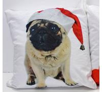 Rapport Home Pug Christmas Cushion Cover 43X43 Multi
