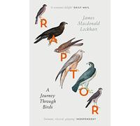 Raptor : A Journey Through Birds