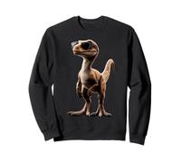 Raptor Velociraptor Dinosaur I Love Dinosaurs Dino Raptors Sweatshirt