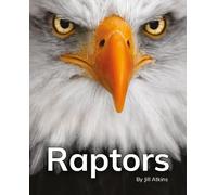 Raptors: Phonics Phase 5 (Reading Stars Achieve Phonics)