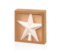 Raraion Premier - White Tree Top Star, Glitter Finish, 20cm Raraion White