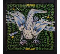 RARE BIRD - born again LP