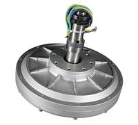 Rare Earth Materials 500W 350RPM 200RPM 24V 48V 96V Coreless Permanent Magnet Alternator Maglev Generator Motor For Wind Turbine Wide Applications(96V,500W 350rpm)