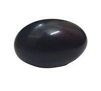 Rare Saligram Stone Black Authentic Gandaki River Find for Spiritual Growth