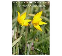 Rare wildflowers UK-Version (Wall Calendar 2026 DIN A4 Portrait), CALVENDO 12 Month Wall Calendar