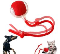RARIHUOZY Interactive Cat & Dog Smart Ball Toy - 360° Automatic Rolling, Indoor/Outdoor