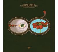 Rarity of Experience - Forsyth,Chris & Solar Motel Band LP