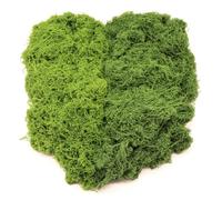 Raroly Artificial Moss - Faux Moss for Crafts, Artificial Fake Dark Green Decorative Moss for Potted Plants, Garden Lawn Crafts Decoration Landscaping Model Making (100g Dark Green+100g Light Green)