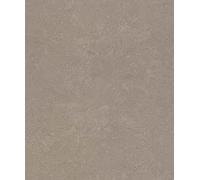 Rasch Factory V Collection 315158 Non-Woven Wallpaper Dark Brown Metallic Plain Concrete Look Structure