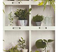 Rasch Freundin 2 Wallpaper 440133 - Paste The Wall Novelty Shelf Plant Pots Jars