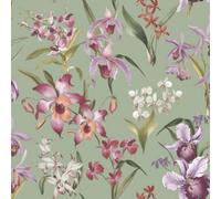 Rasch Maya Orchard Sage Green Floral Tropical Leaves Wallpaper 283654
