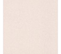 Rasch Non Woven Wallpaper Beige Lightly Textured 252811