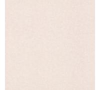 Rasch Non Woven Wallpaper Beige Lightly Textured 252811