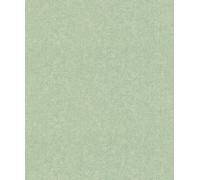 Rasch Paperhangings Non Woven Green Wallpaper - 554472