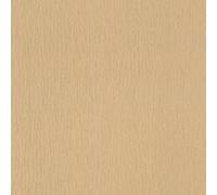 Rasch paperhangings Non Woven Wallpaper (universell) Gold 10,05 m x 0,53 m Trianon XIII 570076