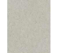 Rasch paperhangings Non Woven Wallpaper (universell) Grey 10,05 m x 0,53 m Concrete 520859