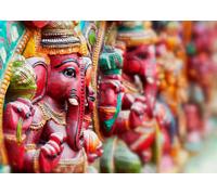 Rasch photo wallpaper 363487 Pink Green Oriental Elephant India (15,24£/1qm)