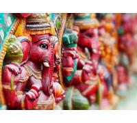 Rasch photo wallpaper 363494 Pink Green Oriental Elephant India (15,27£/1qm)