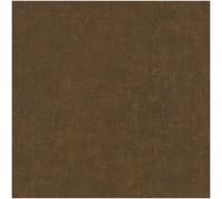 Rasch Plain Textured Wallpaper Brown Plaster Effect Paste The Wall Vinyl Modern Rustic