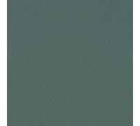 Rasch Tapeten 690750 Plain Non-Woven Wallpaper in Green from The Symphony Collection 10.05 m x 0.53 m (L x W)