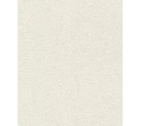 Rasch Tapeten Non Woven Wallpaper (universell) White 10,05 m x 0,53 m #ROCKNROLLE 541335