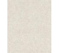 Rasch Wallpaper 699814 Plain Non-Woven Wallpaper with Light Plaster Look Concrete Look in Beige