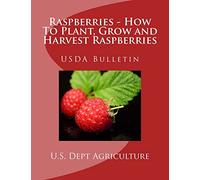 Raspberries - How To Plant, Grow and Harvest Raspberries: USDA Bulletin