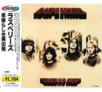 Raspberries,the - Starting Over