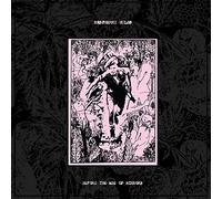 Raspberry Bulbs - Before The Age Of Mirrors (LP) [VINYL]