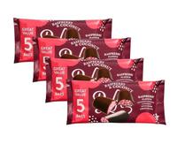 Raspberry Coconut Ruffle Bars - 5-Piece Treat Pack (4 Packs Total)