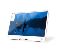 Raspberry Pi Monitor