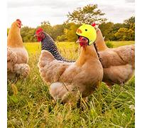 RASTKY 4 Pcs Chicken Helmet Cute Bird Head Protection Chick Pecking Hat for Young Chicks, 1.77" Size 8g Weight (Blue green white)