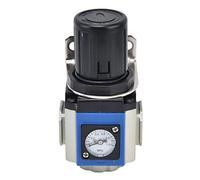 RASTKY Air Compressor Regulator Durable Aluminum Alloy Pressure Regulating Valve with for Workshop Garage Use (GR300-10)