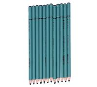 RASTKY Charcoal Pencils Flexible Versatile For Detailed Drawing Sketching 12Pcs For Artists and Professional Illustrators