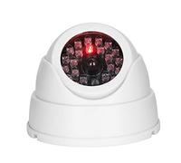 RASTKY Dome Simulated Surveillance Camera with Dummy IR LEDs, LED Light Indicator, Last for Months, Home Office Shop Security Solution