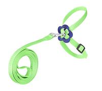 RASTKY Harness Leash Birds Nylon AntiBite Rope Training (green)