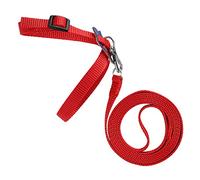 RASTKY Harness Leash Birds Nylon AntiBite Rope Training (Red)