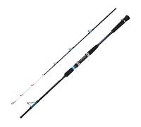 RASTKY High Density Carbon Fishing Rod for General Carbon Spinning Rod Luminous Spinning Boat Fishing (1.8M)