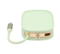 RASTKY High Speed USB C Docking Station 10 in 1 Multifunctional 4K HD PD Fast Charging USB C Hub for Laptop Desktop Travelers (Green)