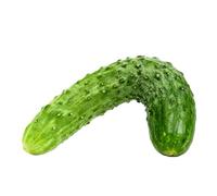 RASTKY Interactive Pet Dog Vegetable Plush Chew Toy with BB Sounder for Stress Relief and Teeth Cleaning - 5.1",6.7" - Cat, Dog Variety - Short Plush, Canvas - Ideal for Pet Playtime (Cat toys