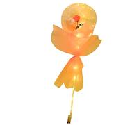 RASTKY Luminous Balloon Rose Bouquet LED Light Up Transparent Balloons Last Longer Valentine's Day Girls Plastic Material (Pink)