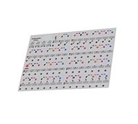 RASTKY Musical Keyboard Stickers Durable 37/49/ 61/88 Key Removable Colorful for Beginners Practice, PVC Material (Style 3)